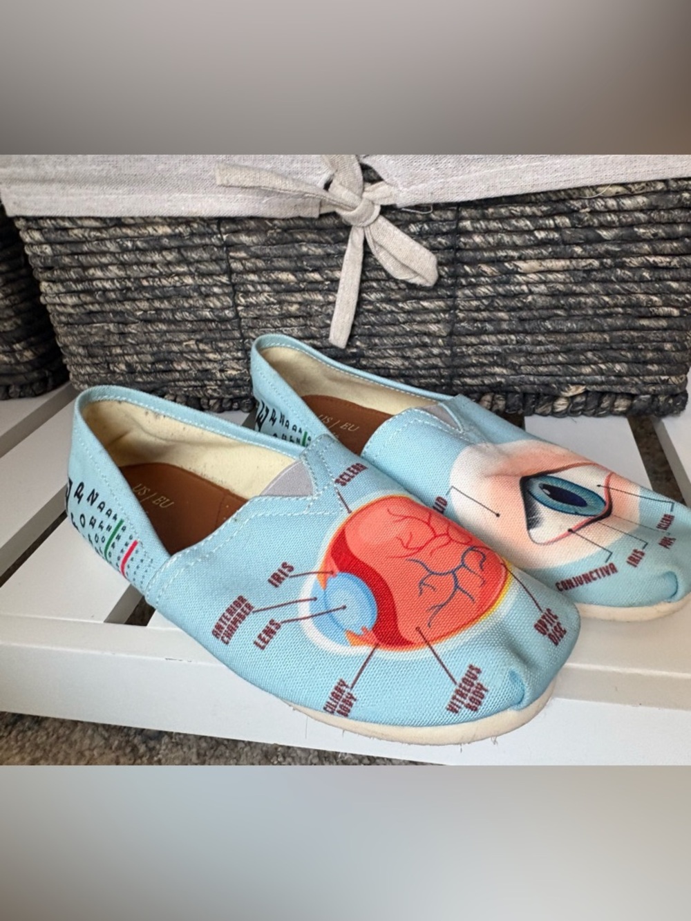 Anatomy Eye Print Slip-On Shoes Size 6 Science Nurse Teacher Novelty